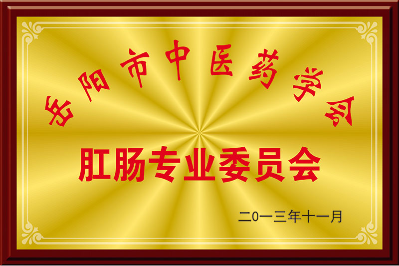 岳阳市中医药学会肛肠专业委员会